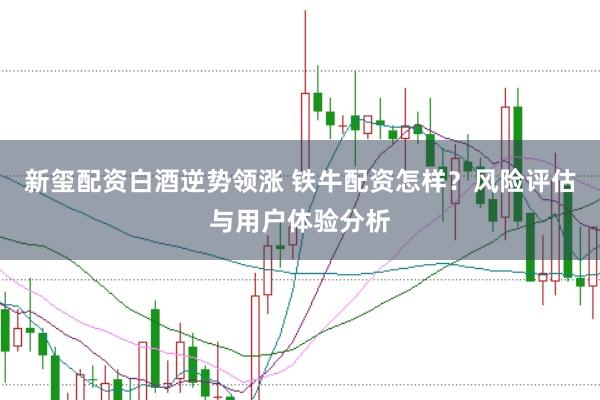 新玺配资白酒逆势领涨 铁牛配资怎样?风险评估与用户体验分析