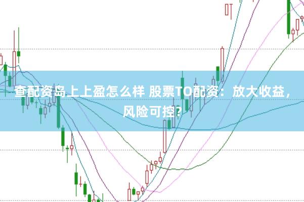 查配资岛上上盈怎么样 股票TO配资:放大收益,风险可控?