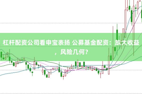 杠杆配资公司看申宝表扬 公募基金配资:放大收益,风险几何?