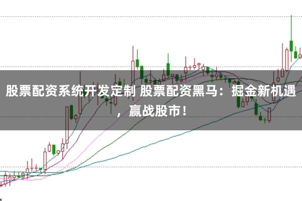 股票配资系统开发定制 股票配资黑马：掘金新机遇，赢战股市！