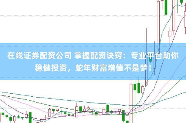 在线证券配资公司 掌握配资诀窍:专业平台助你稳健投资,蛇年财富增值不是梦!