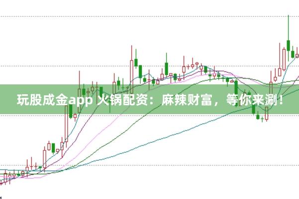 玩股成金app 火锅配资：麻辣财富，等你来涮！