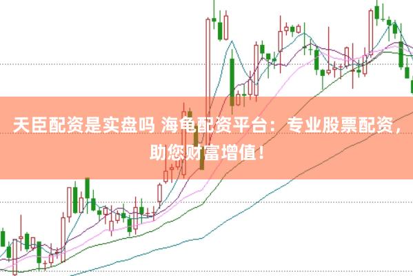天臣配资是实盘吗 海龟配资平台：专业股票配资，助您财富增值！