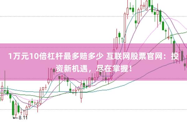 1万元10倍杠杆最多赔多少 互联网股票官网:投资新机遇,尽在掌握!