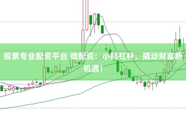 股票专业配资平台 微配资：小额杠杆，撬动财富新机遇！