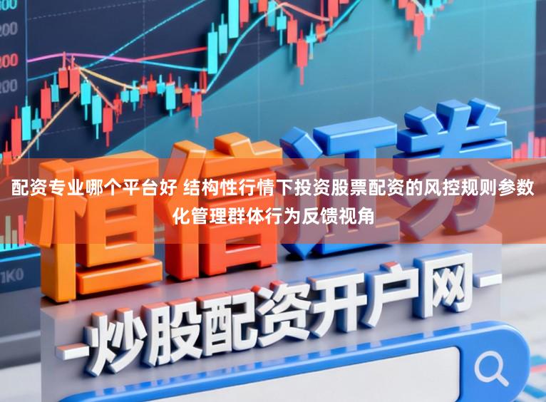 配资专业哪个平台好 结构性行情下投资股票配资的风控规则参数化管理群体行为反馈视角